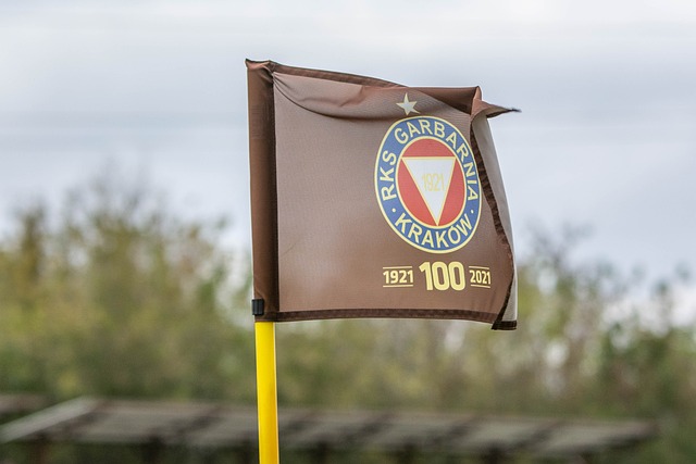 保利尼奥：未来目标成为CEO，想管理欧洲俱乐部和巴西国家队.